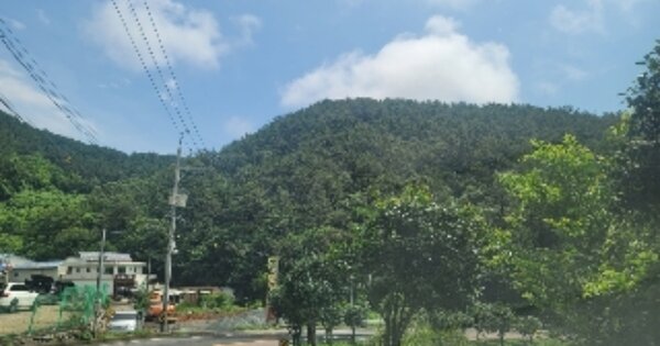 경상남도 통영시 광도면 죽림리 OOOOOO O OOO 임야 경매 물건 이미지