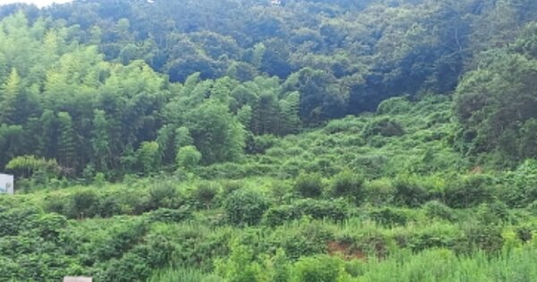 경상남도 거제시 하청면 어온리 OOOO 답 경매 물건 이미지