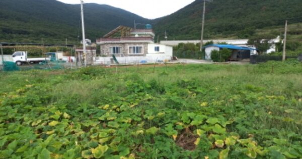 경상남도 거제시 남부면 다포리 OOO 답 경매 물건 이미지