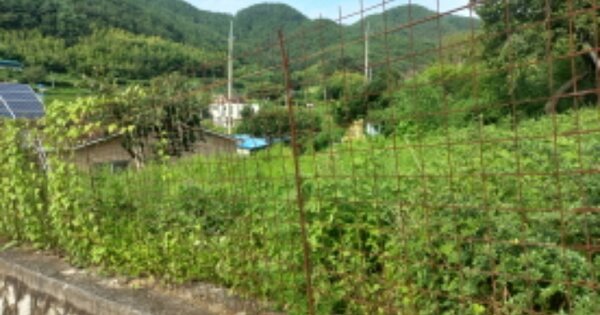 경상남도 거제시 하청면 하청리 OOO O OOO 대지 경매 물건 이미지