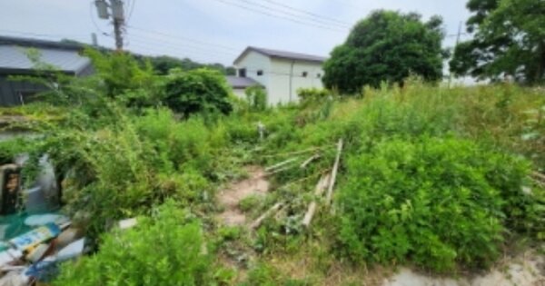 전라북도 고창군 고창읍 성두리 OOO O OOO 단독주택 경매 물건 이미지