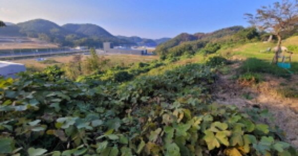 경상북도 포항시 남구 동해면 중산리 OO 전 경매 물건 이미지