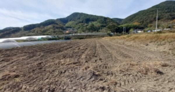 경상남도 하동군 옥종면 위태리 OOOOO 답 경매 물건 이미지