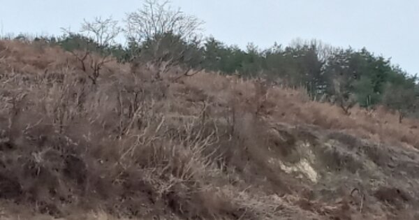 경상남도 산청군 생초면 노은리 OOOOOO O OOO 임야 경매 물건 이미지