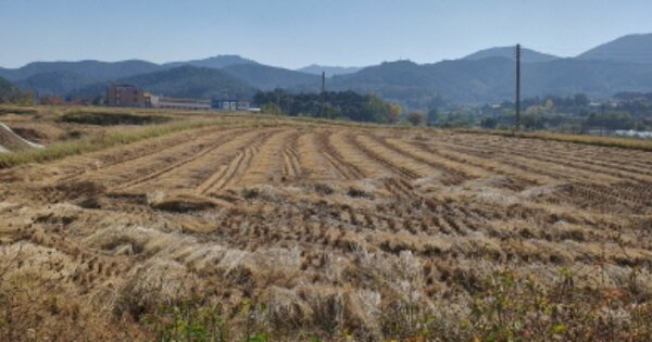 경상북도 성주군 수륜면 신파리 OOOO O OOO 과수원 경매 물건 이미지