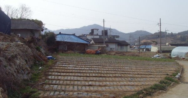 전라남도 해남군 화원면 청용리 OOOOO 답 경매 물건 이미지