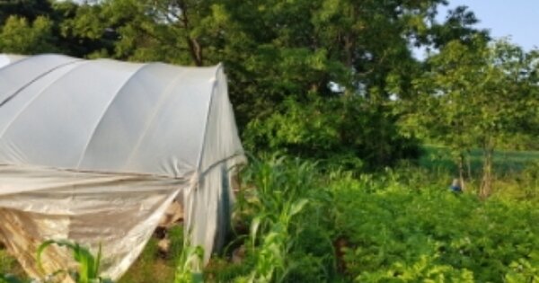 충청남도 당진시 신평면 거산리 OOOOO 임야 경매 물건 이미지