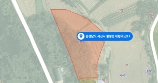 충청남도 서산시 팔봉면 대황리 OOO 임야 경매 물건 이미지