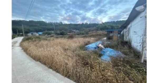 전라남도 함평군 나산면 나산리 OOOOO 답 경매 물건 이미지