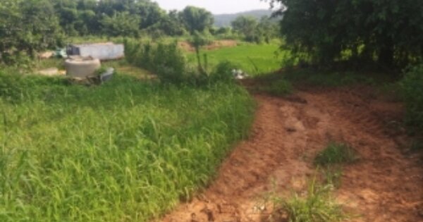 충청남도 당진시 송악읍 부곡리 OOOOO 전 경매 물건 이미지
