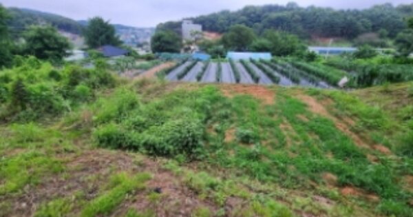 경기도 안산시 단원구 대부북동 OOOOOO 임야 경매 물건 이미지
