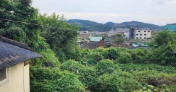 전라남도 광양시 광양읍 덕례리 OOO 대지 경매 물건 이미지