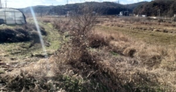 충청남도 당진시 송악읍 가교리 OOO 전 경매 물건 이미지