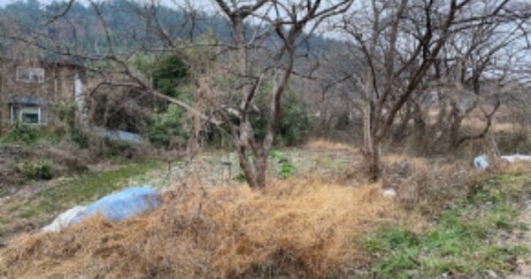 전라남도 순천시 별량면 우산리 OOOOO 전 경매 물건 이미지