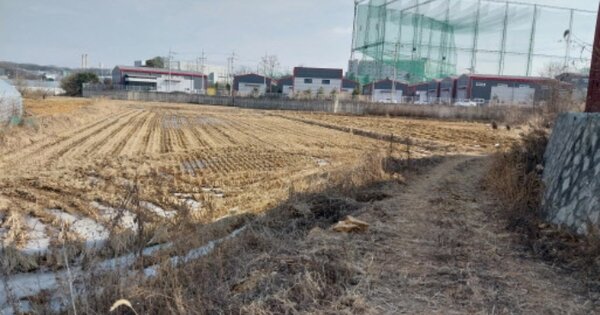 경기도 파주시 연다산동 OOO 답 경매 물건 이미지