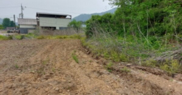 경기도 파주시 적성면 장현리 OOOO O OOO 대지 경매 물건 이미지