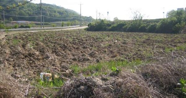 경상북도 예천군 풍양면 청운리 OO 전 경매 물건 이미지