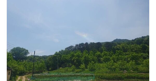경상북도 상주시 낙양동 OOO 임야 경매 물건 이미지
