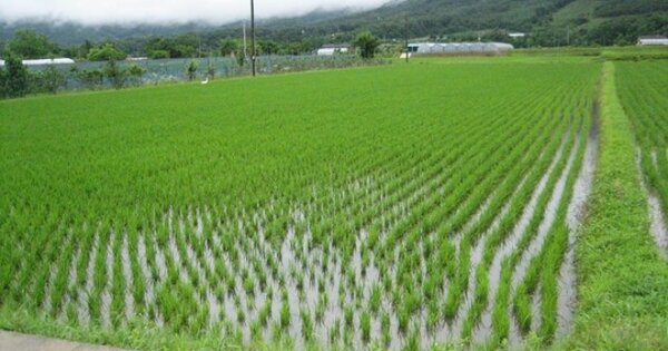 경상북도 상주시 은척면 남곡리 OO 답 경매 물건 이미지