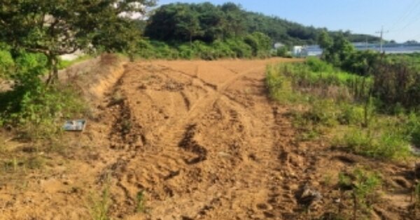 전라남도 영광군 법성면 용덕리 OOOOO 전 경매 물건 이미지