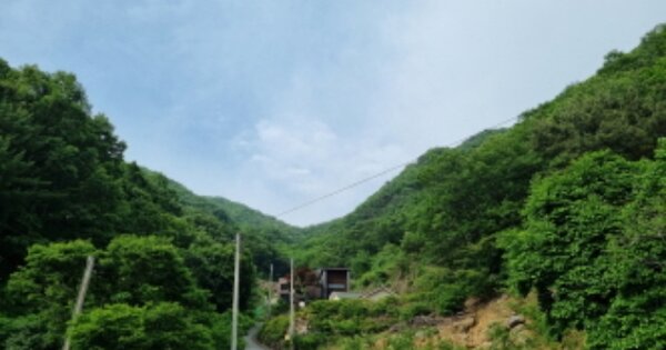 경기도 가평군 청평면 호명리 OOOOOO 임야 경매 물건 이미지
