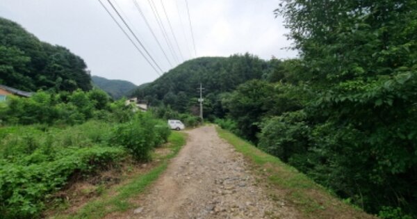경기도 가평군 북면 화악리 OOOOOO 도로 경매 물건 이미지