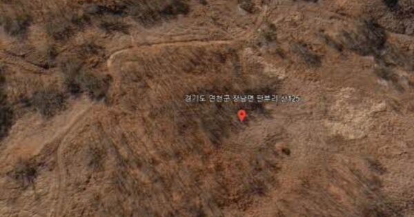 경기도 연천군 장남면 판부리 OOOO 임야 경매 물건 이미지