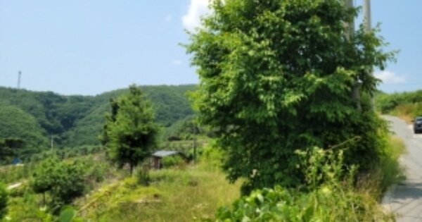 경상북도 봉화군 명호면 관창리 OOO 전 경매 물건 이미지