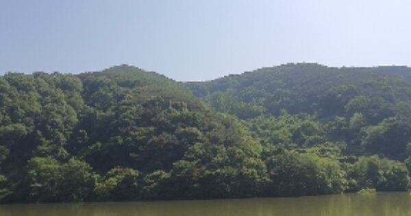 경상남도 의령군 봉수면 천락리 OOOOO 임야 경매 물건 이미지