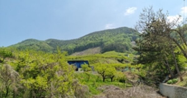 경상남도 창원시 의창구 북면 하천리 OOO O OOO 답 경매 물건 이미지