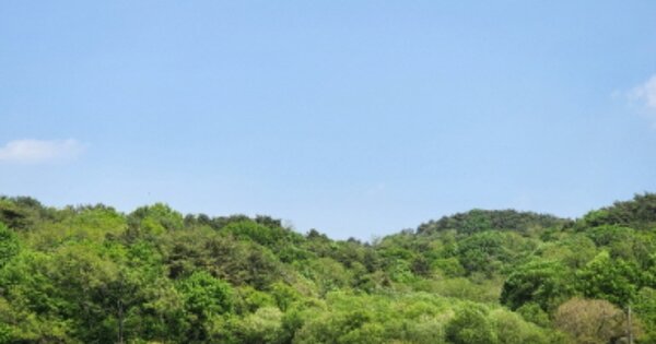 울산광역시 울주군 온양읍 발리 OOO 전 경매 물건 이미지