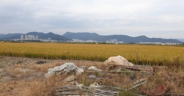 부산광역시 강서구 죽동동 OOOOO 답 경매 물건 이미지