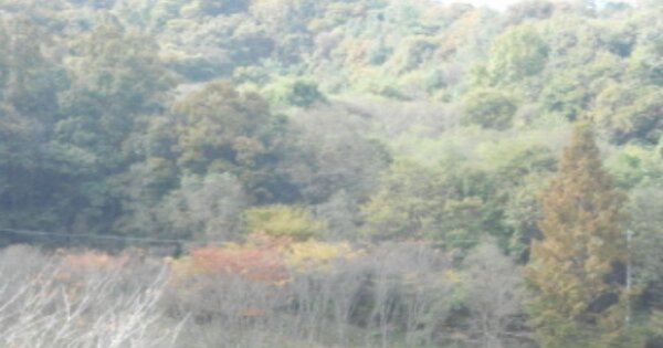 세종특별자치시 전의면 달전리 OO 답 경매 물건 이미지