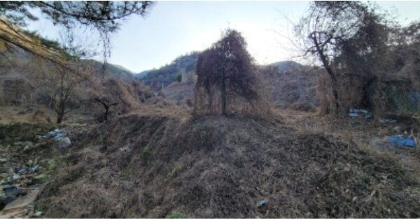 경상북도 영천시 화북면 죽전리 OOO O OOO 전 경매 물건 이미지
