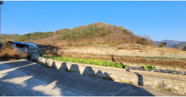 경상북도 영천시 화북면 오산리 OOO O OOO 답 경매 물건 이미지