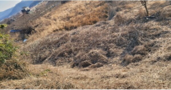 경상북도 칠곡군 기산면 평복리 OOOOO 답 경매 물건 이미지