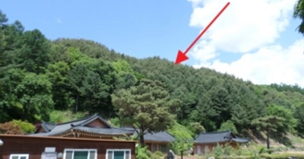 강원도 횡성군 둔내면 삽교리 OOOO 임야 경매 물건 이미지