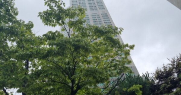 인천 남동구 논현동 766-1, 905동 OOOOOOOO OOOOOOOOOOOOOOOOOOOOOOO 아파트 경매 물건 이미지