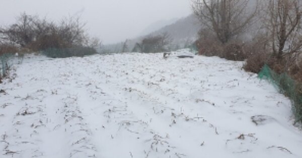충청남도 예산군 덕산면 광천리 OOO 전 경매 물건 이미지