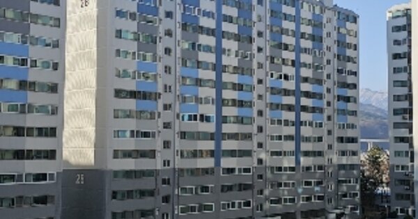 강원특별자치도 동해시 동회동 442 동해대동아파트 28동 OOOOOO 아파트 경매 물건 이미지