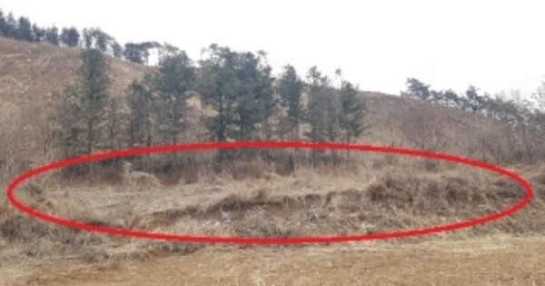 강원특별자치도 홍천군 두촌면 역내리 OOOO 전 경매 물건 이미지