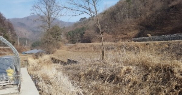 강원특별자치도 춘천시 북산면 오항리 OOOOO 전 경매 물건 이미지