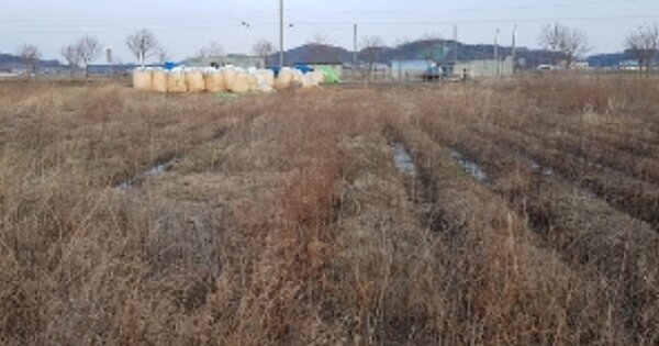 충청남도 서천군 장항읍 화천리 OOOOO 답 경매 물건 이미지