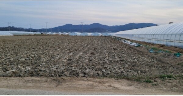 경상북도 칠곡군 약목면 덕산리 OOOOO 전 경매 물건 이미지