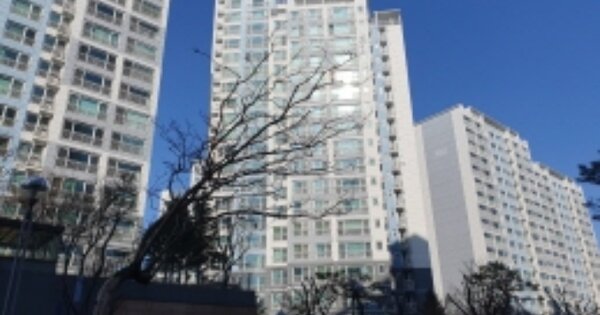 세종특별자치시 조치원읍 신흥리 399, 105동 OOOOOO OOOOOOOOOOOOOOO 아파트 경매 물건 이미지