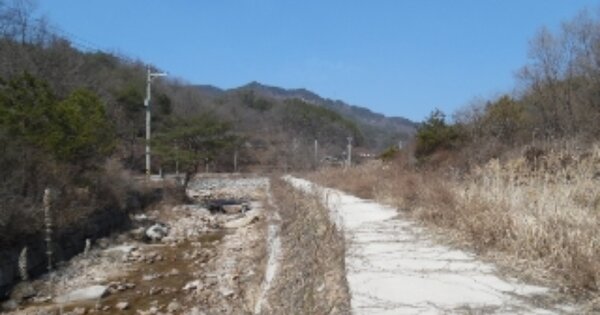 전북특별자치도 진안군 용담면 와룡리 OOO 임야 경매 물건 이미지