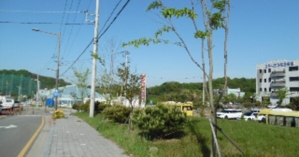 전북특별자치도 전주시 완산구 효자동3가 OOOOOOO O OOO 임야 경매 물건 이미지