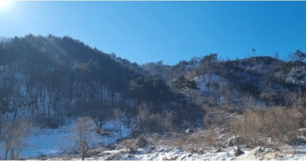 강원특별자치도 양양군 서면 가라피리 OOOO 임야 경매 물건 이미지
