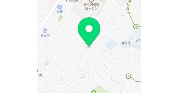 서울특별시 강서구 화곡동 966-3 더원  제2층 제203호 미지정 경매 물건 이미지