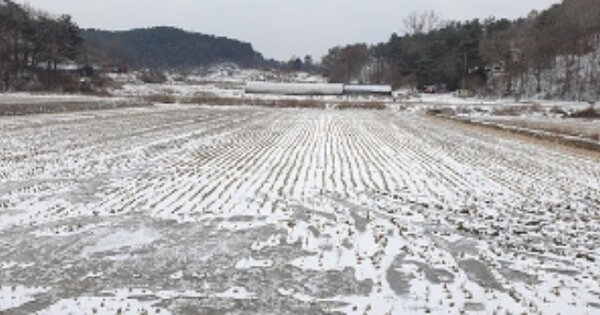 충청남도 예산군 신양면 연리 OOOO 답 경매 물건 이미지